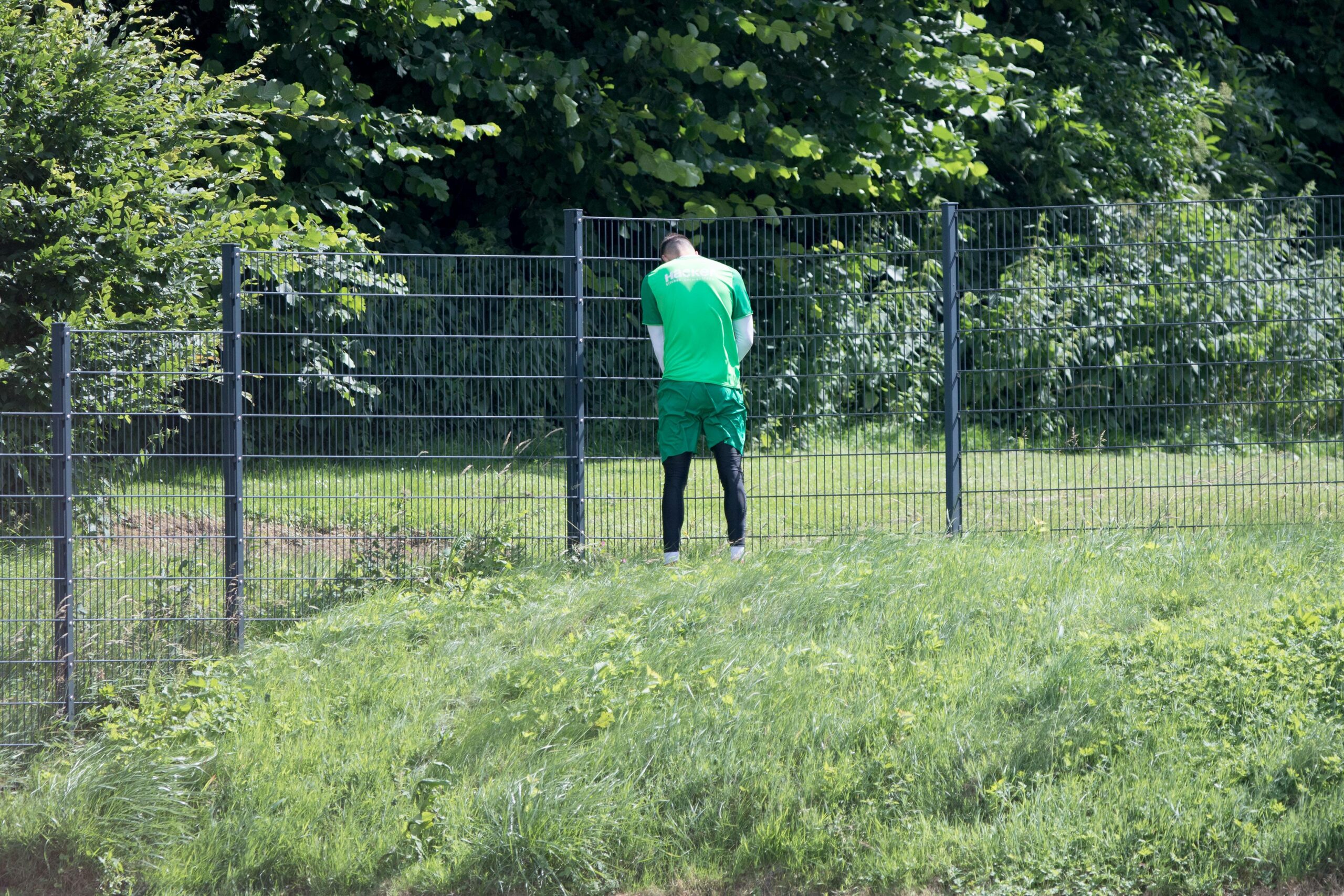 Ein Fußballfan pinkelt in den Wald (Symbolbild).
