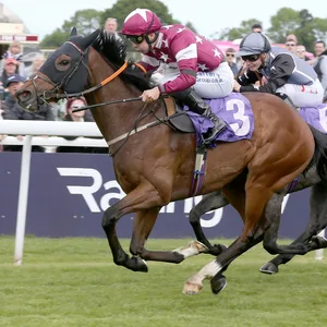 Der italienische Jockey Stefano Cherchi bei einem Rennen im Mai 2022