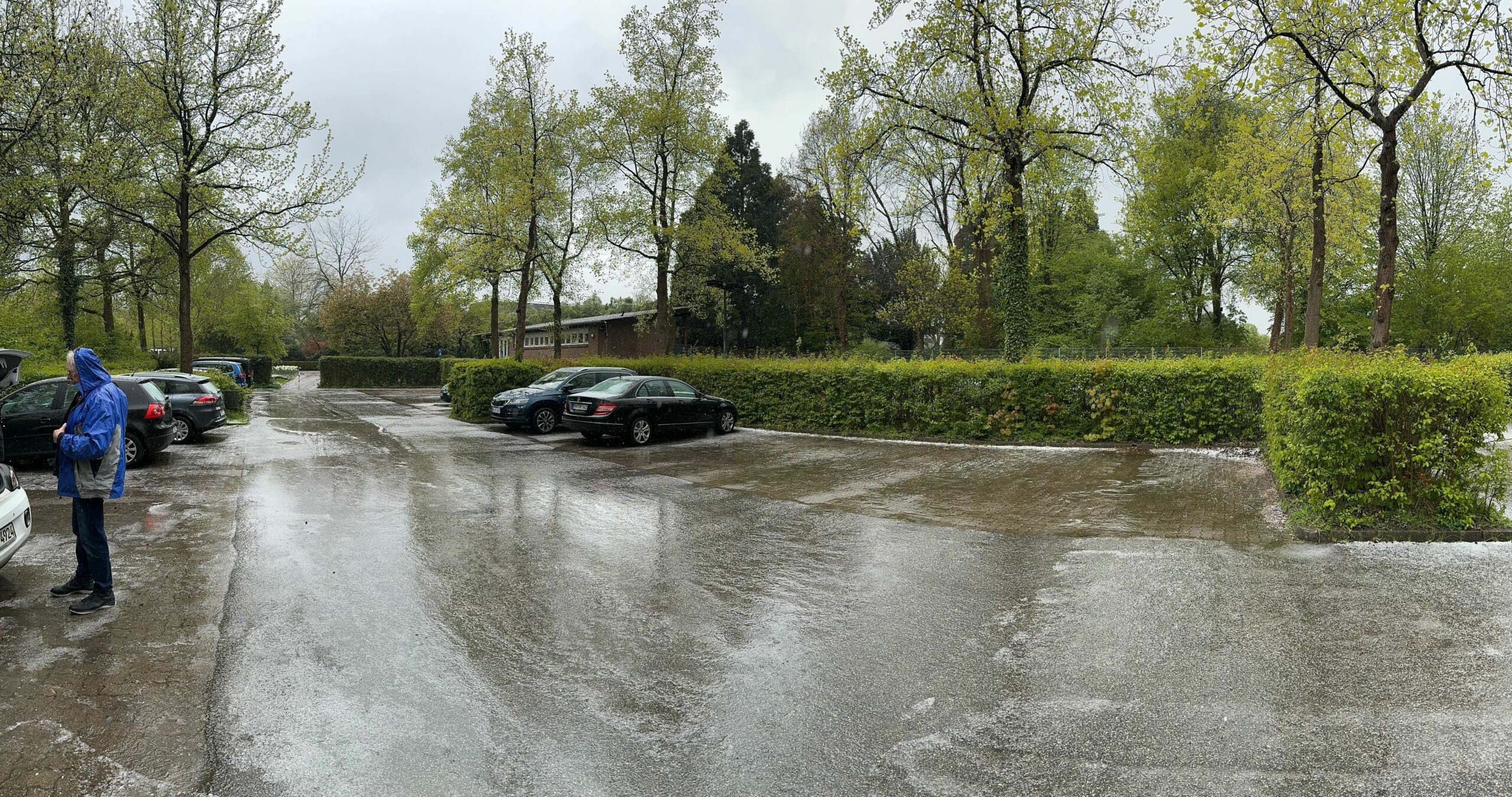 Der fast leere Besucherparkplatz des Loki-Schmidt-Gartens im Regen