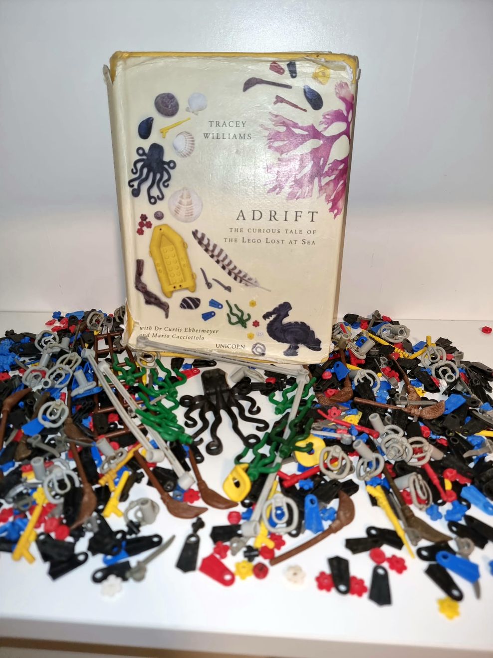 Ein Familienfoto zeigt die von Liutauras Cemolonskas gesammelten Lego-Teile. 