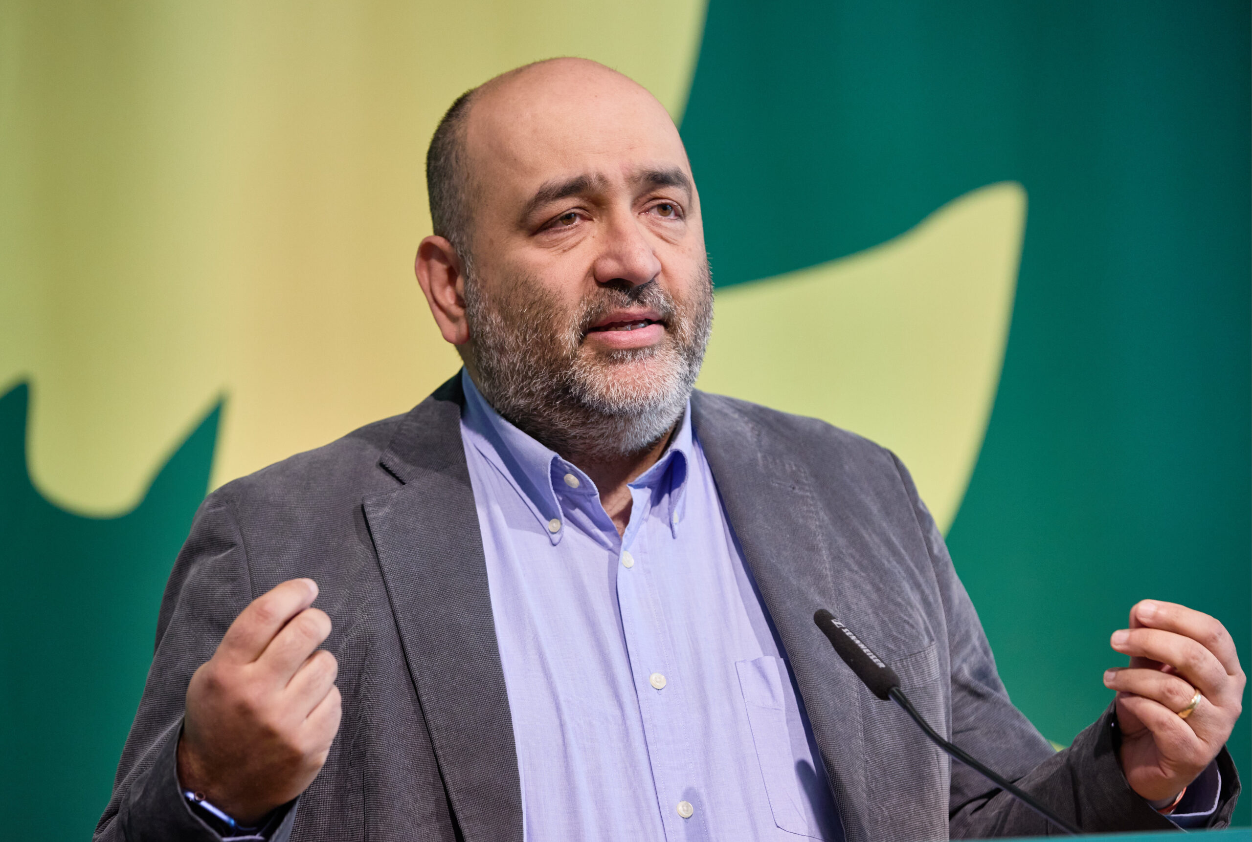 Der Bundesvorsitzende der Grünen, Omid Nouripour, warnte auf der Landesmitgliederversammlung seiner Partei vor dem Erstarken der AfD.