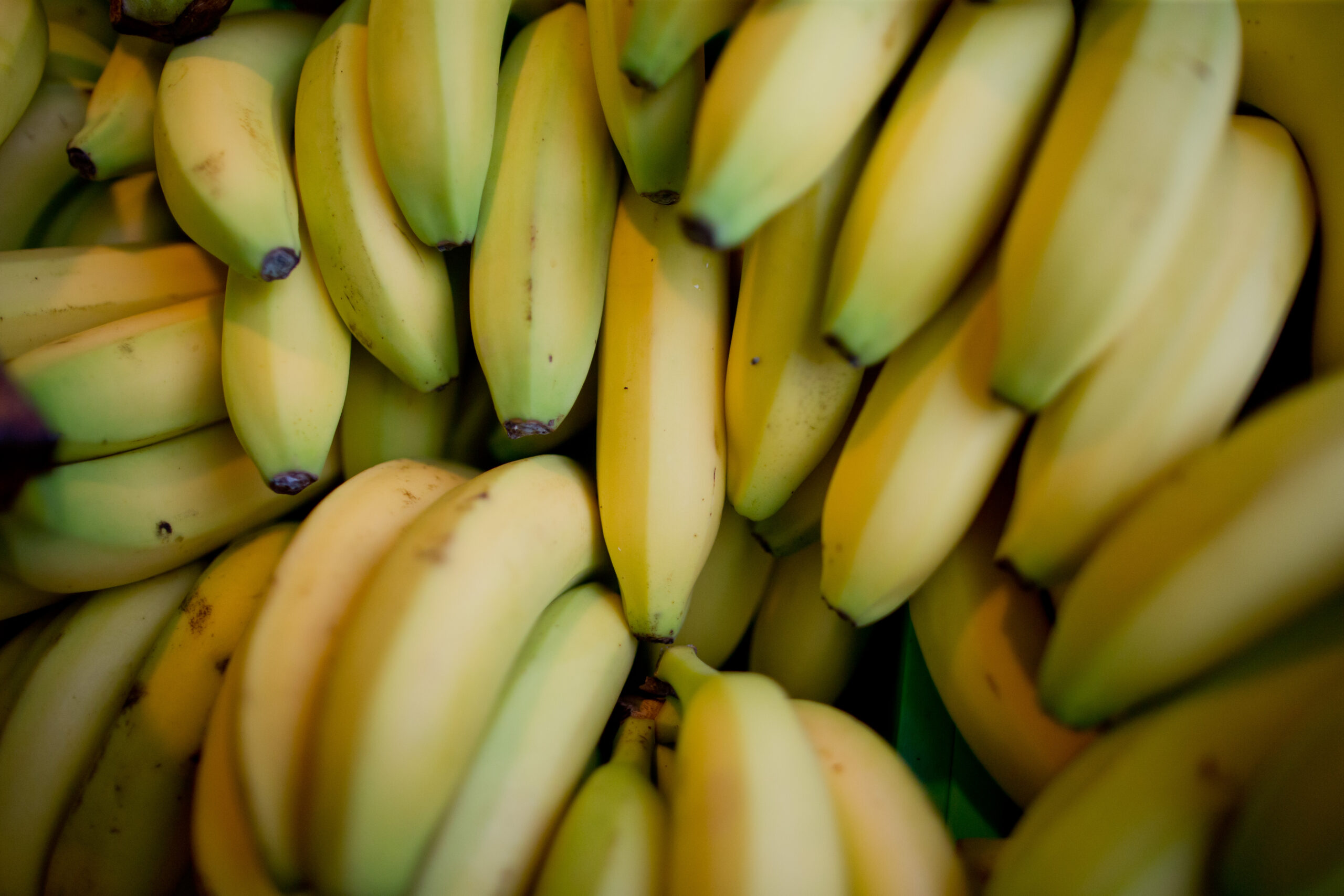 In insgesamt elf Supermärkten in Berlin und Brandenburg wurde Kokain gefunden. Die Drogen waren in Bananenkisten versteckt.