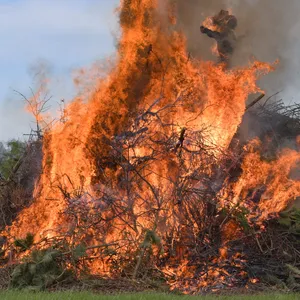 Ein Maifeuer brennt auf einem Feld. (Symbolbild)