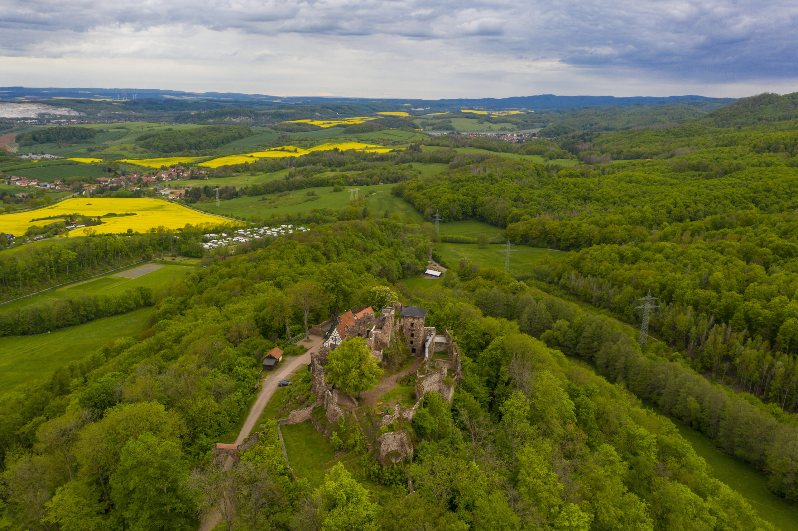 Der Wald bei Nordhausen in Thüringen