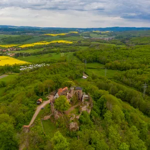 Der Wald bei Nordhausen in Thüringen