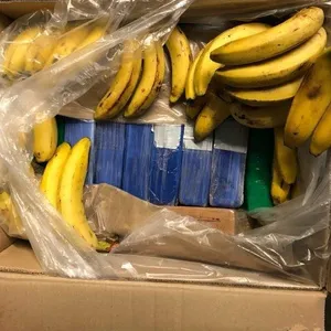 Kokainpaket zwischen Bananen