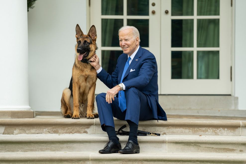 Wie bitte? Trump-Vertraute will Bidens Hund erschießen lassen