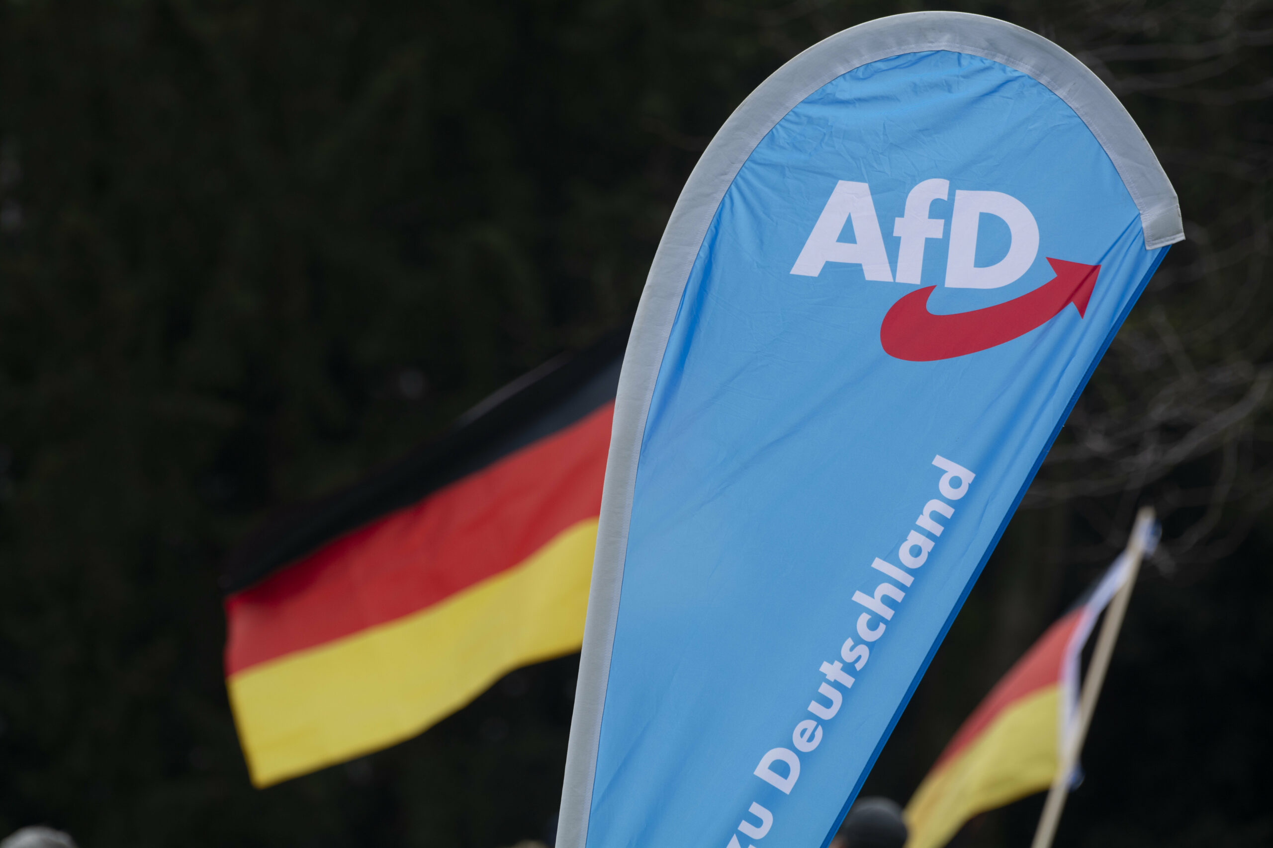 Eine Fahne der AfD