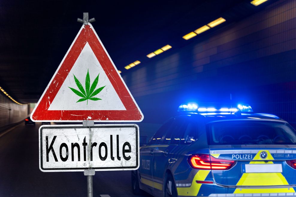 Symbolbild Cannabis-Kontrolle