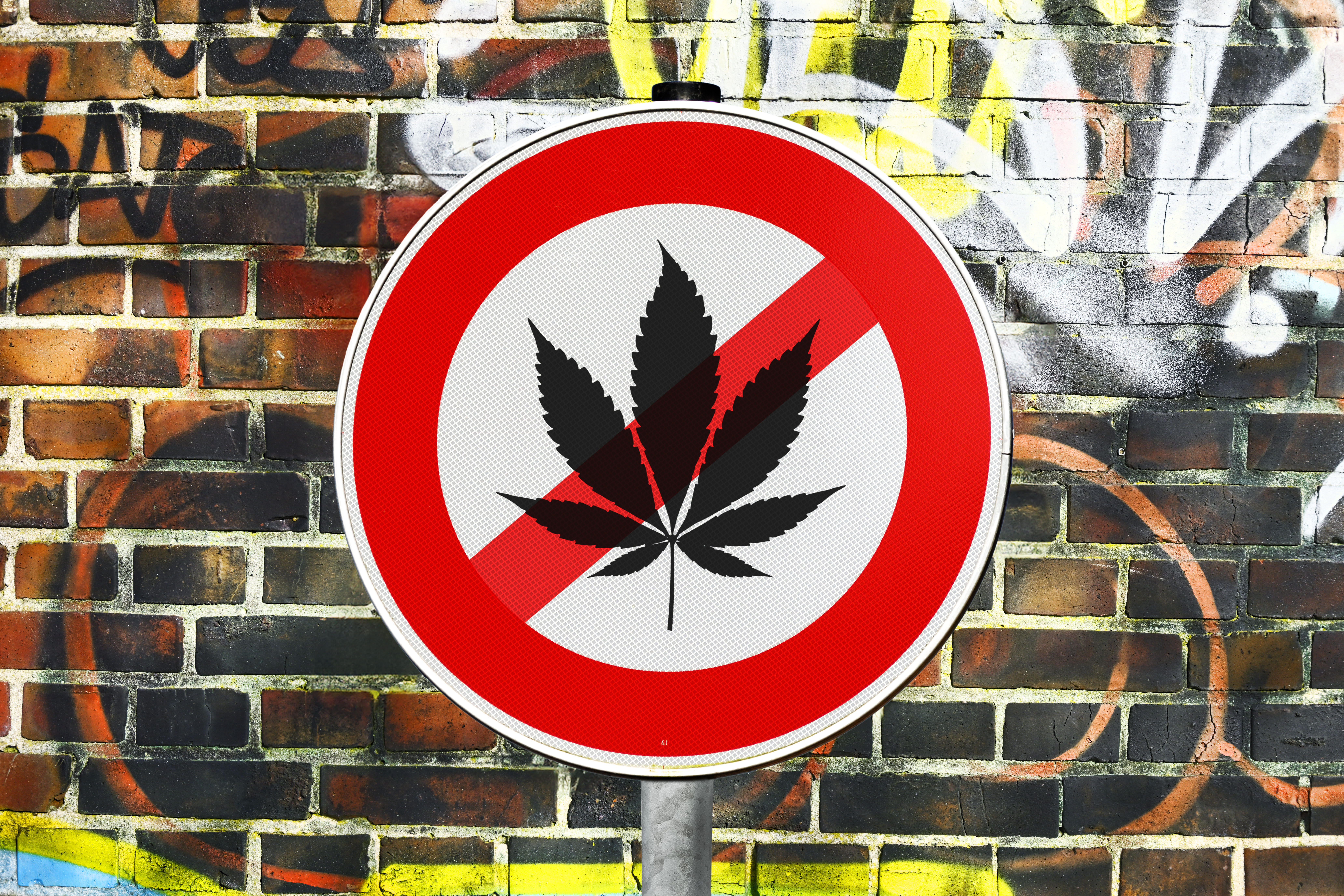 Ein rundes Verkehrsschild mit rotem Rand, in der Mitte das Blatt einer Cannabispflanze, es ist durchgestrichen