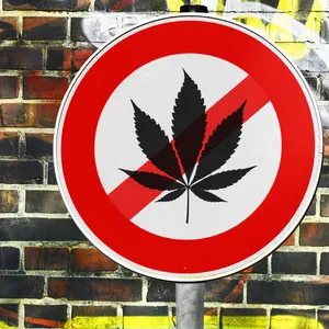 Ein rundes Verkehrsschild mit rotem Rand, in der Mitte das Blatt einer Cannabispflanze, es ist durchgestrichen