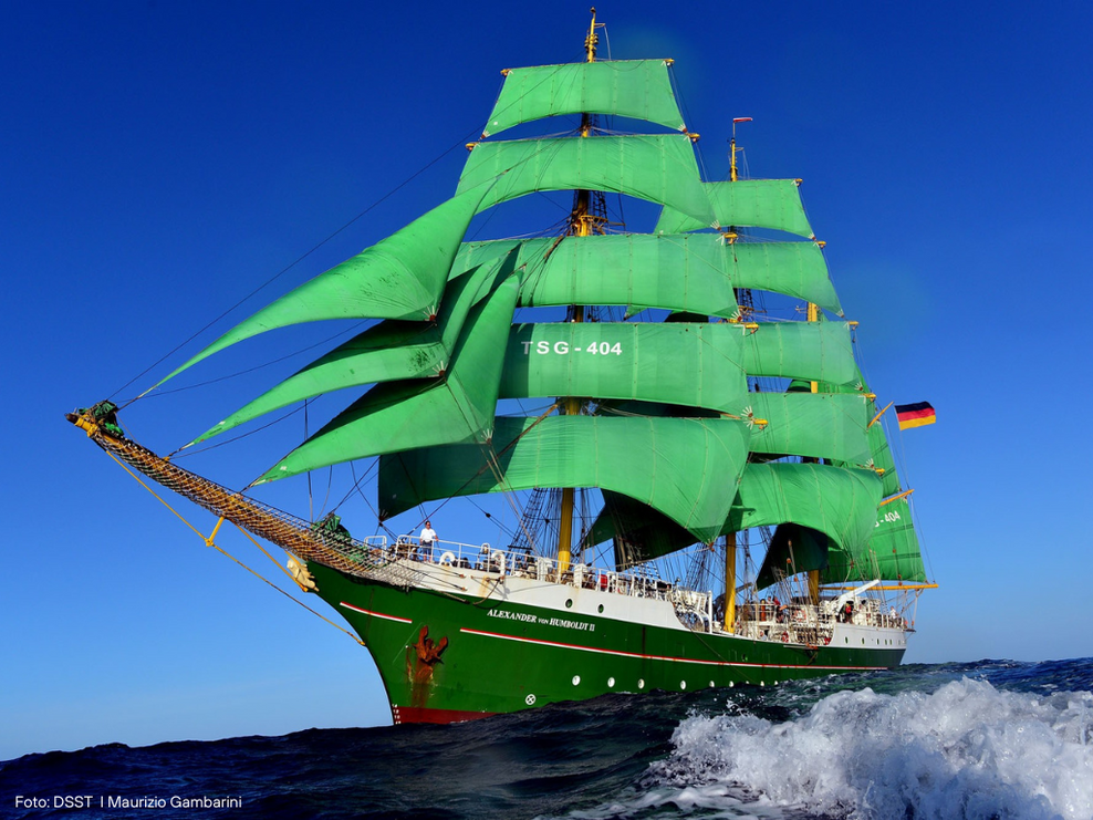 Die Alexander von Humboldt II