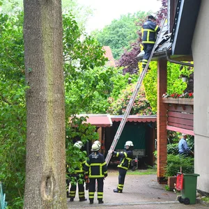 Hamburger versucht Wespennest auszuräuchern und setzt Dach in Brand