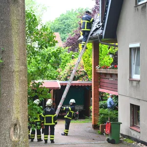 Hamburger versucht Wespennest auszuräuchern und setzt Dach in Brand