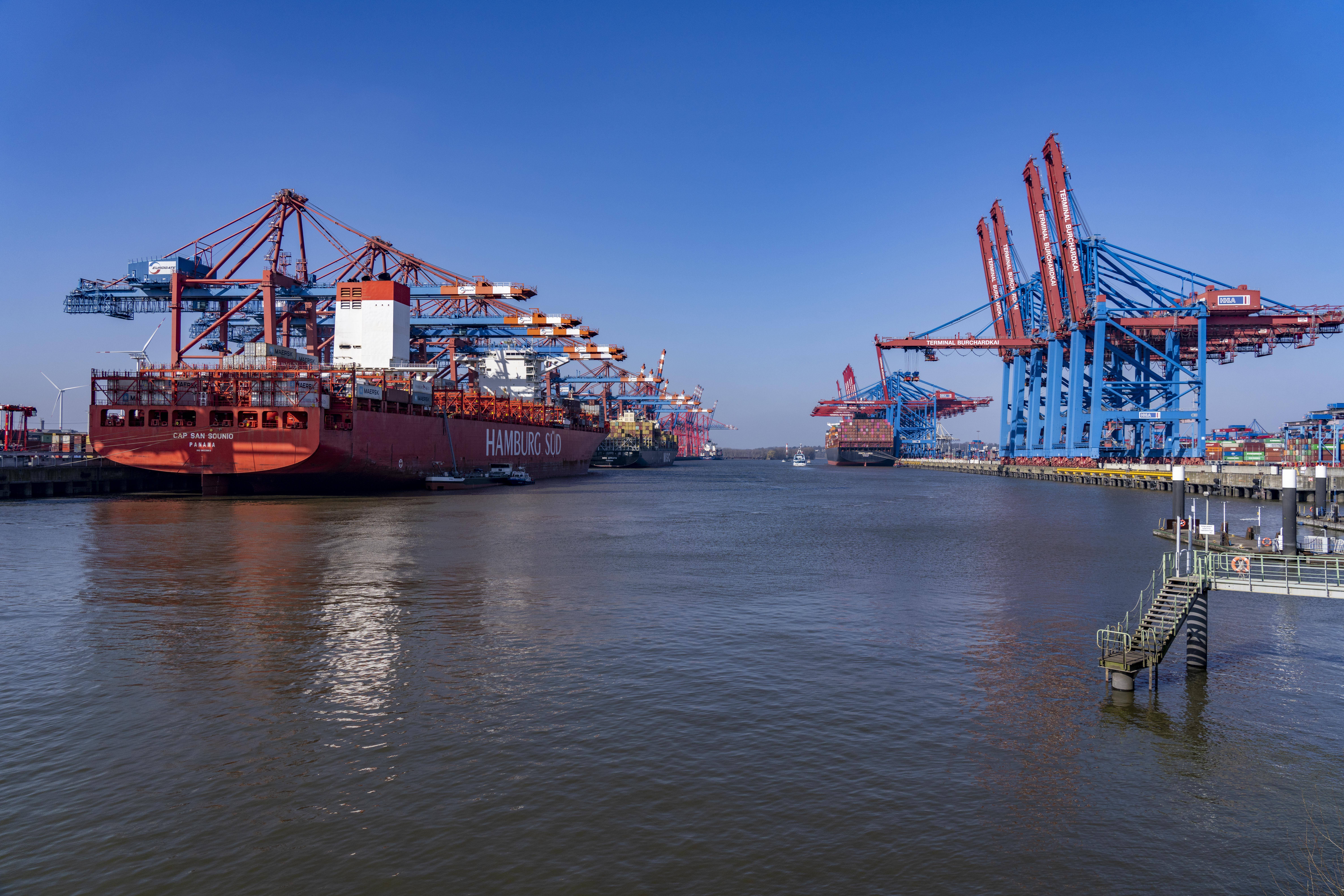 Der Hamburger Hafen: Sachverständige erheben Zweifel an dem vom rot-grünen Senat geplanten MSC-Deal. (Symbolbild)