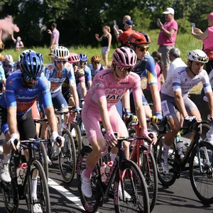 Die Radsportler bei der 14. Etappe