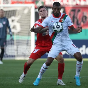 Steve Mounié im Zweikampf