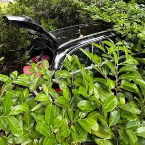 Der Unfall eriegnete sich an der Elbchaussee/Ecke Stauffenbergstraße. Das Auto raste in einen Vorgarten.