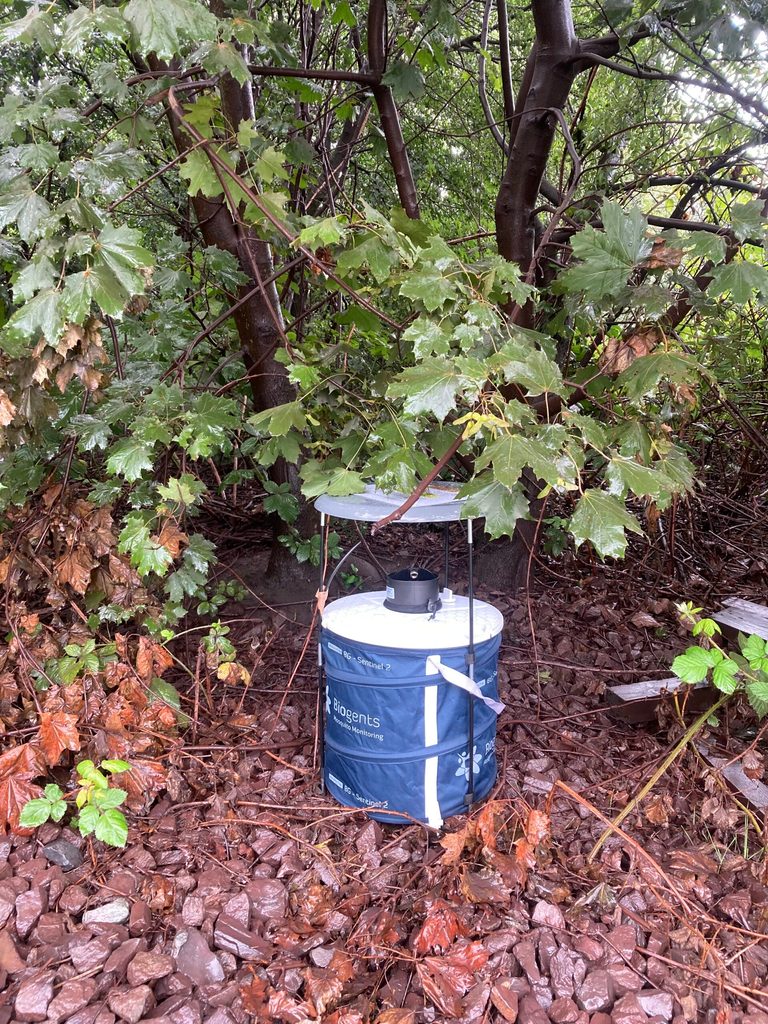 Zylinderförmiges Gerät unter einem Baum