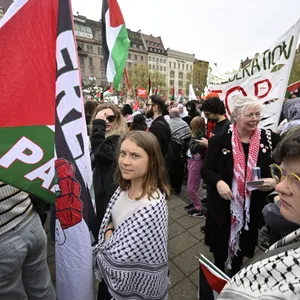Greta Thunberg auf Demo
