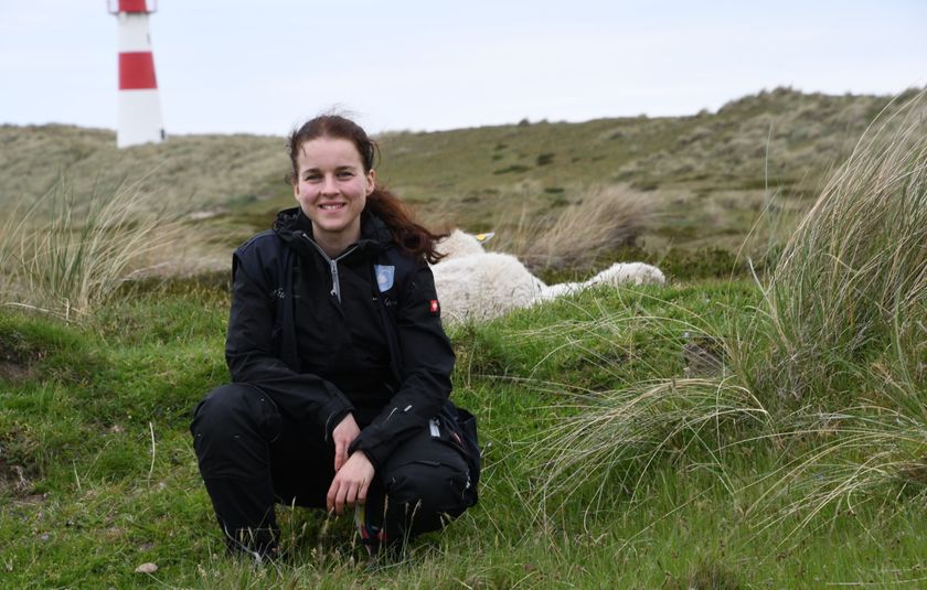 Sylt-Rangerin Stella Kinne und Schafe