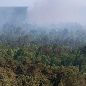 Waldbrand bei Lübtheen im Mai 2025