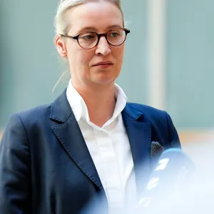 AfD-Co-Chefin Alice Weidel (Archivbild).