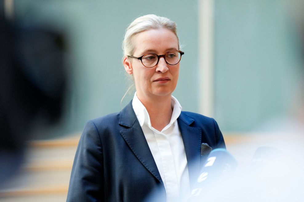 AfD-Co-Chefin Alice Weidel (Archivbild).