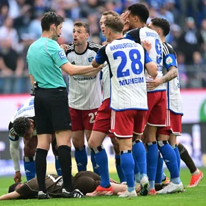 Die HSV-Profis diskutieren mit Schiedsrichter Dr. Matthias Jöllenbeck