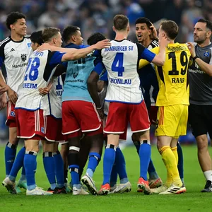 HSV-Profis jubeln über den Derby-Sieg
