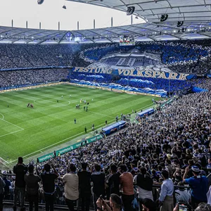 Fans im Volksparkstadion