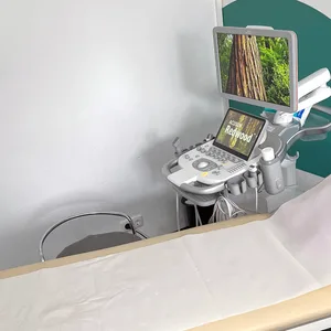 Einbrecher steigen in Arztpraxis in Kellinghusen ein und erbeiten teure medizinische Geräte