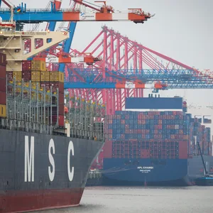 Zwei Containerschiffe liegen am Terminal Eurogate im Hamburger Hafen (Archivbild).