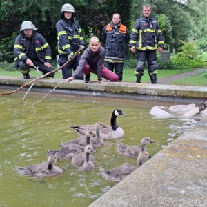 Feuerwehrkräfte versuchen, die Küken aus dem Brunnen zu befreien.