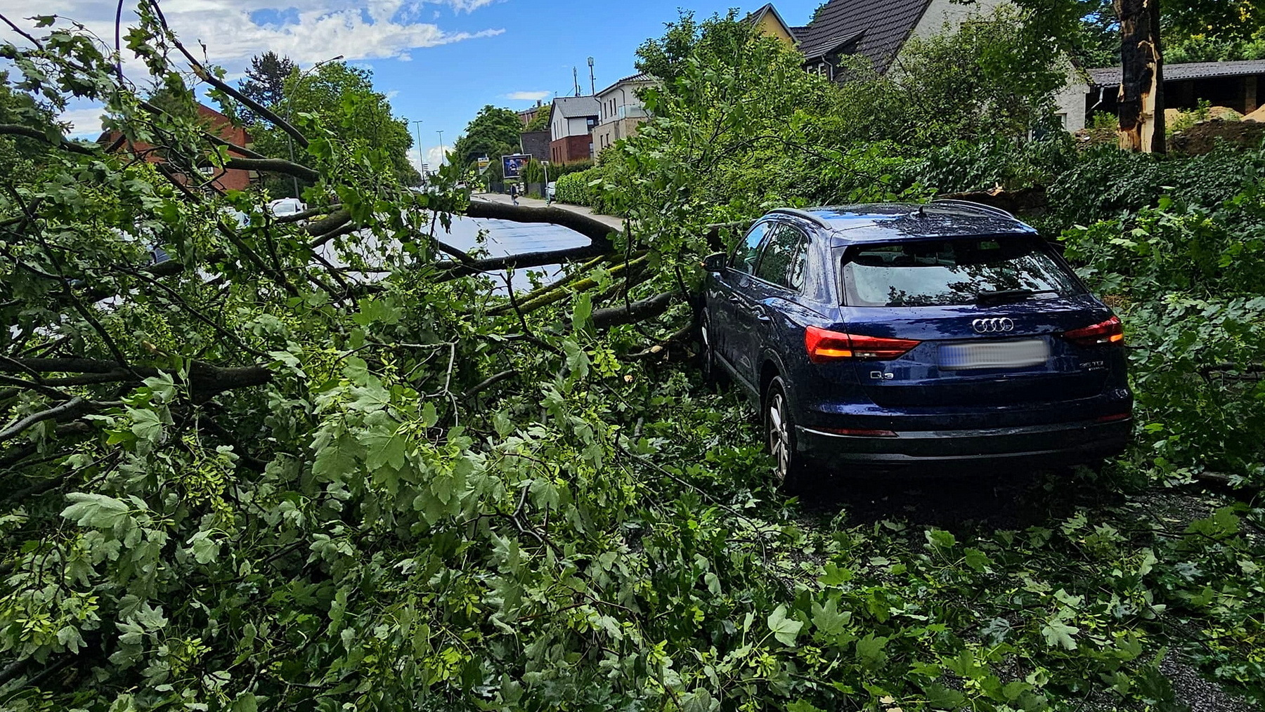 Ein Audi ist in einen umgestürzten Baum gekracht.