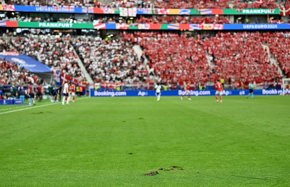 Rasen im Frankfurter Stadion