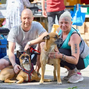 Ein Paar mit zwei Hunden