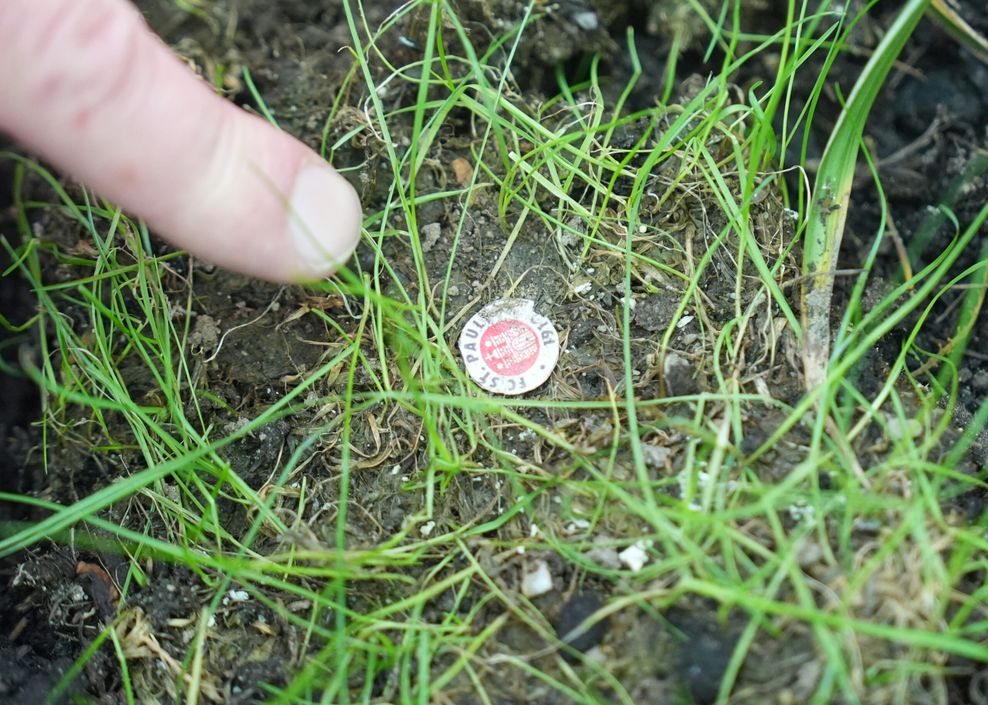 Michael Sarnhof, Betreiber «Kiez Garden», zeigt auf ein kleines Stück Aufstiegsrasen aus dem Millerntor-Stadion des FC St. Pauli in einem Hochbeet im Biergarten «Kiez Garden».