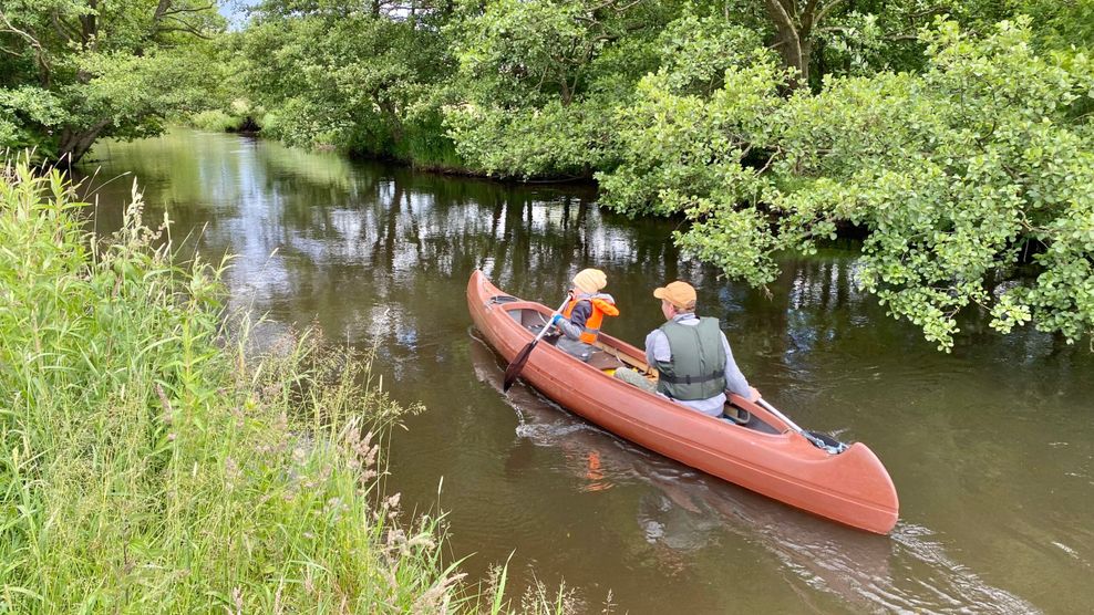 Paddeltouren rund um Hamburg: Mehr Sommer geht nicht!