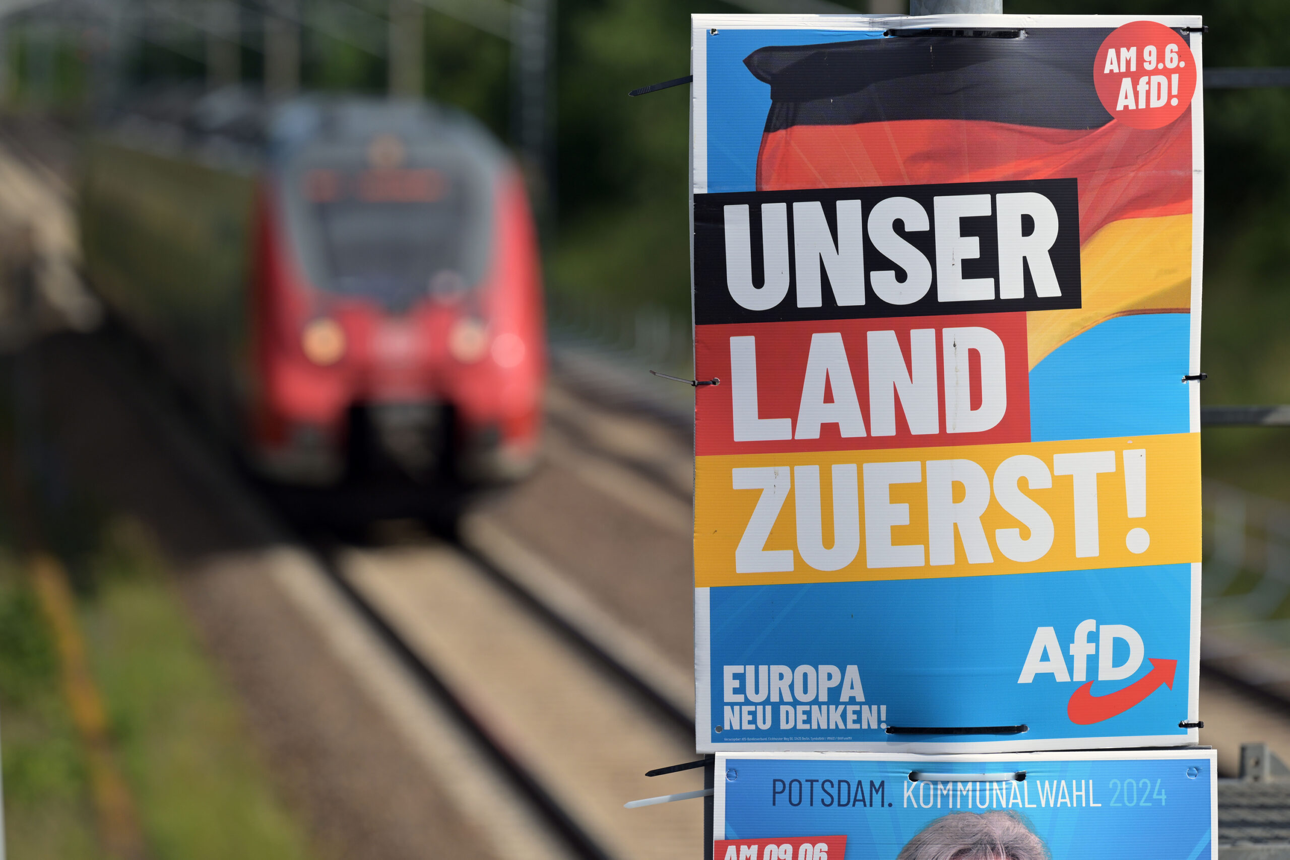 Plakat AfD