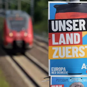 Plakat AfD