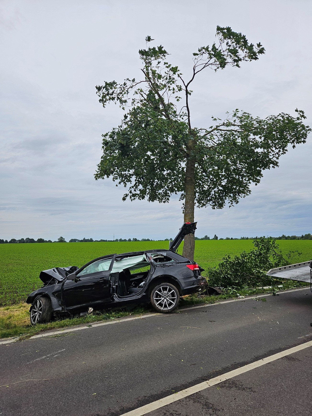 Der Fahrer musste aus dem Wagen befreit werden.