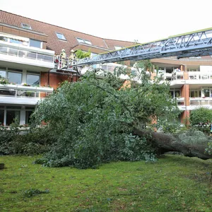 In Schenefeld ist ein Baum entwurzelt worden und hat ein Mehrfamilienhaus getroffen.