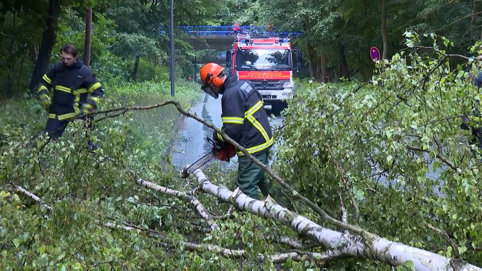 Sturm über Hamburg und dem Norden: Feuerwehr erneut im Dauereinsatz