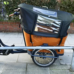 Ein am Straßenrand abgestelltes Lastenrad (Symbolbild).