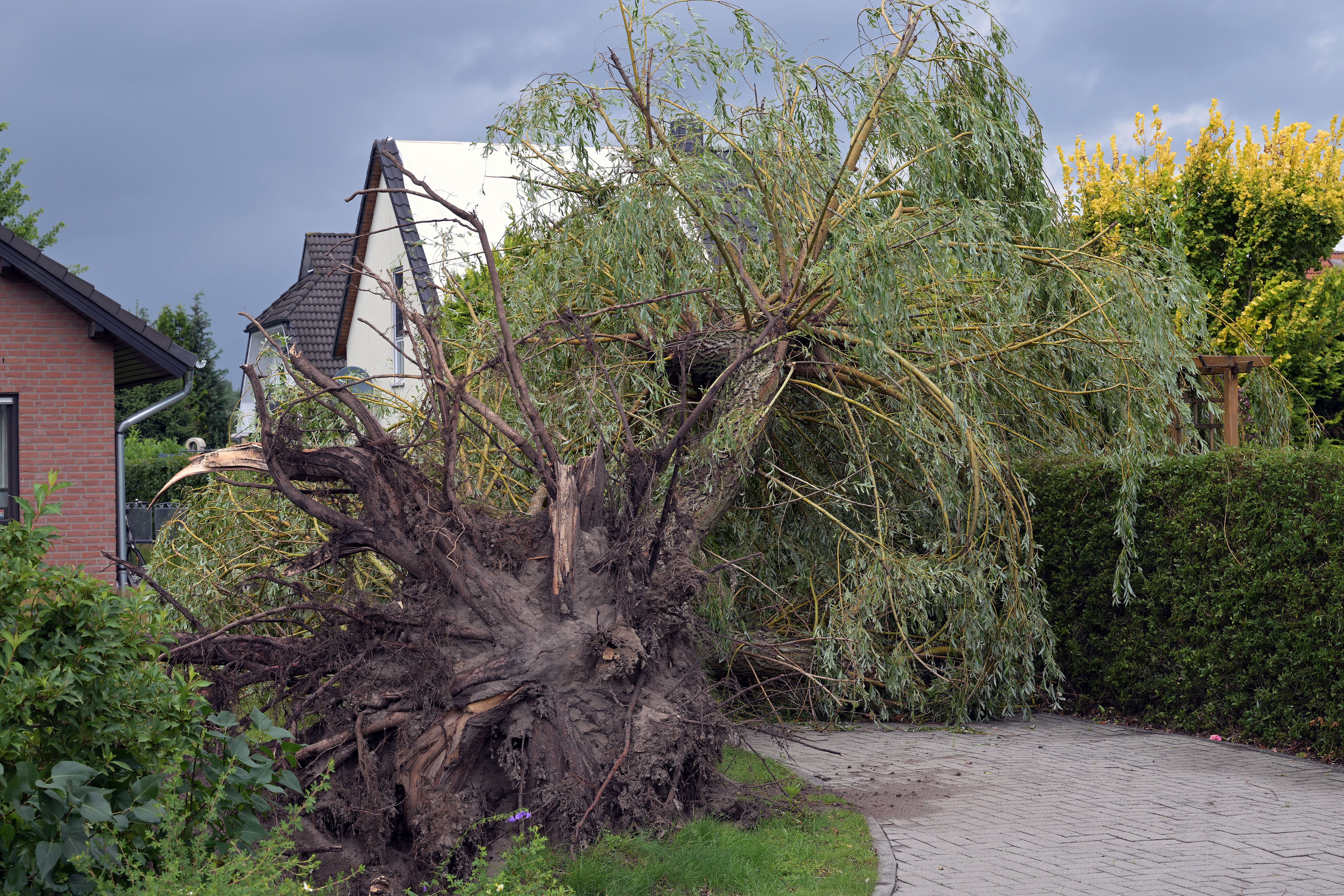Ein Unwetter hat in Cottbus schwere Schäden angerichtet, nun bestätigten Experten Berichte, dass es sogar einen Tornado in der brandenburgischen Stadt gab.