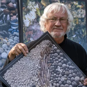 Geologe Rolf Reinicke, zeigt ein Plakat mit Funden der Kreideküste.