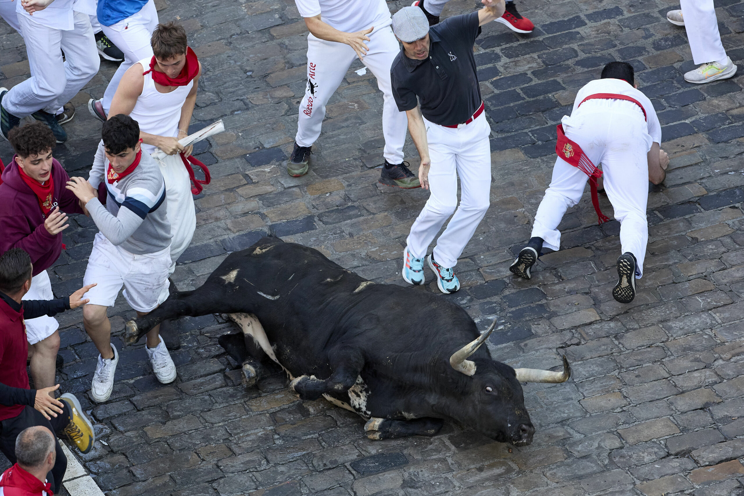 Ein gestürzter Stier auf der Straße in Pamplona.