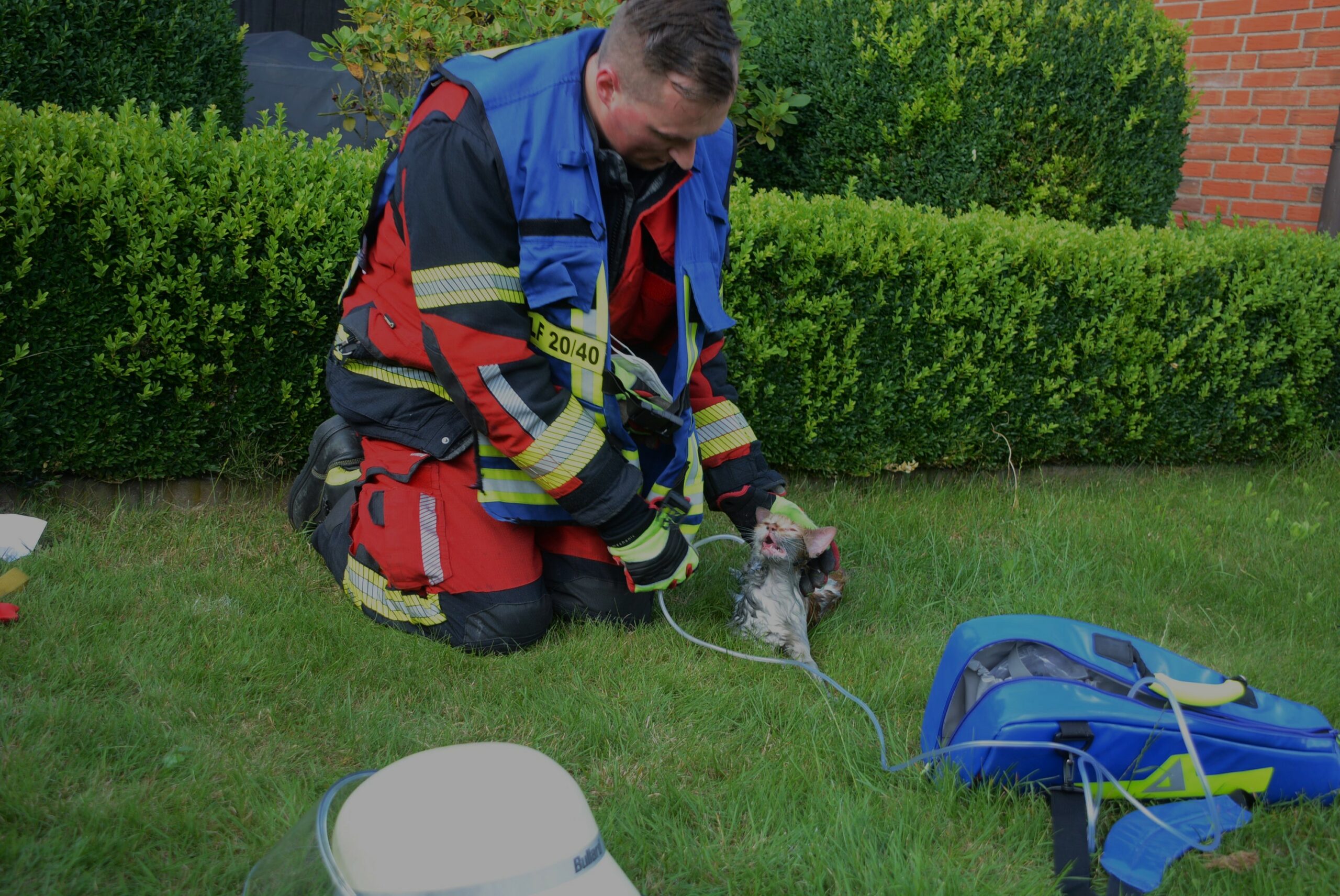 Ein Feuerwehrmann versorgt die gerettete Katze.