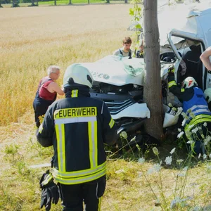 Transporter kracht auf Landstraße bei Sterley gegen Baum – Fahrer schwer verletzt